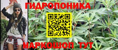 синтетический гашиш Заводоуковск