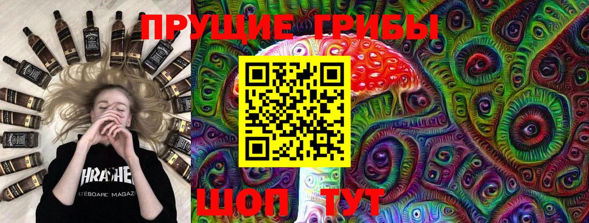 Галлюциногенные грибы Psilocybine cubensis  Вход с VPN  Магадан 